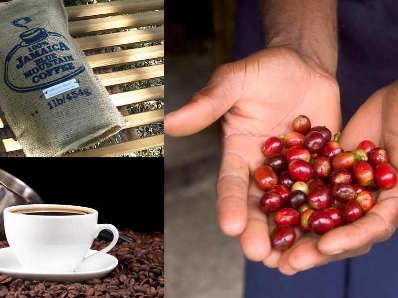 Jamaican Coffee
