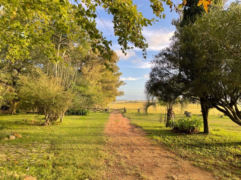 Estancia Los Platanos - Gelände