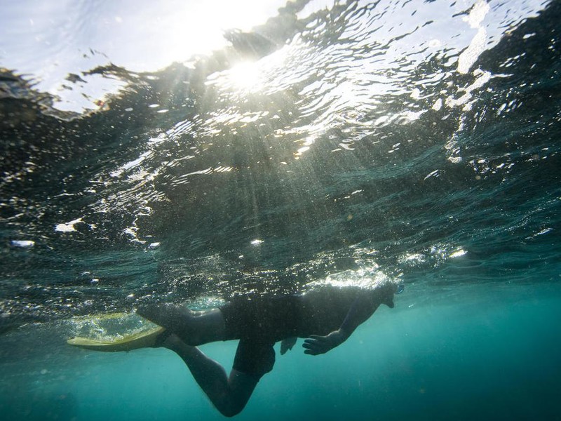 Paradies für Schnorchler