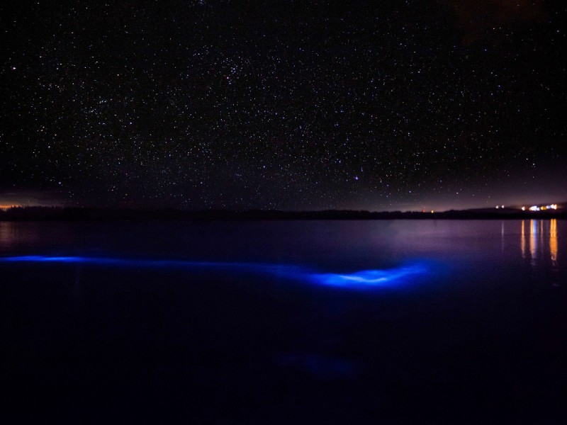 Luminous Lagoon