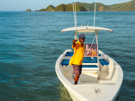 Little Tobago & Goat Island Tour, Tobago