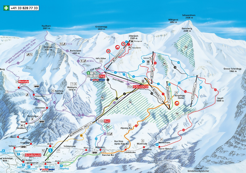 Grindelwald First Trail