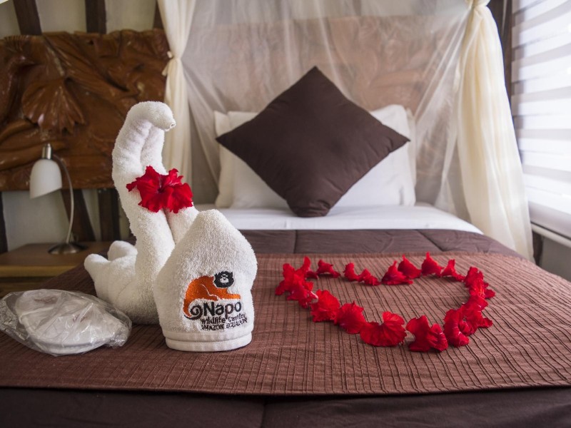 Napo Wildlife Center - Service pur