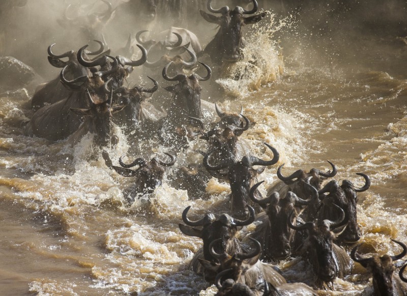 Serengeti-Nationalpark