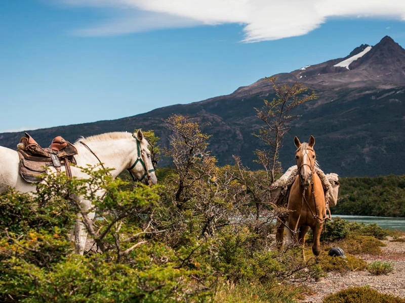 Reiten in der Pampa Lodge