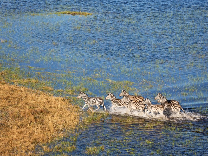 Namibia - Okavangoriver