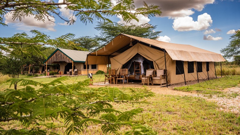 Africa Safari Ikoma Safari Family Comfort
