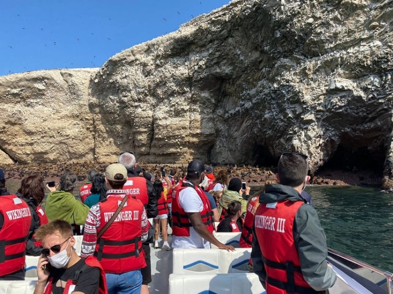 Ballestas and Paracas Reserve