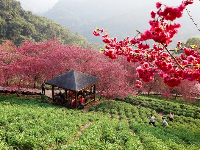Taiwan - Taichung