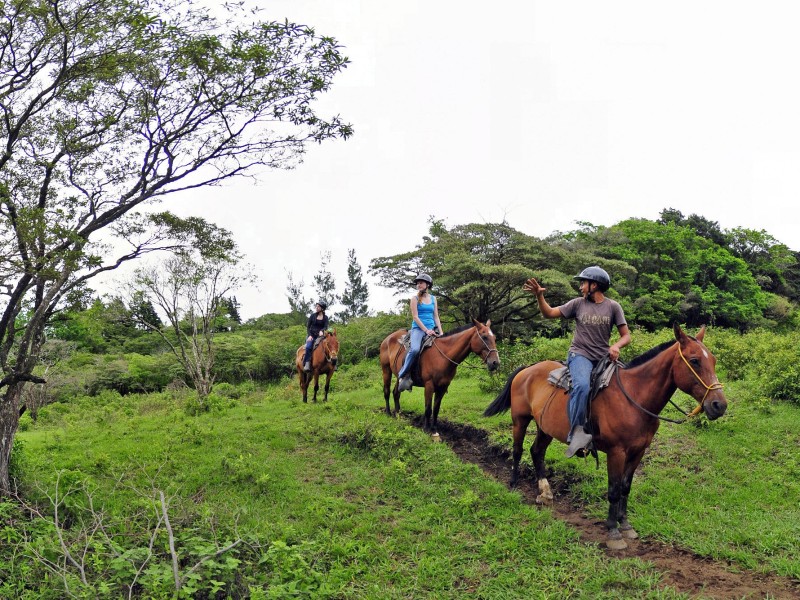 Monteverde Lodge & Gardens Reiten
