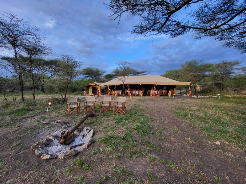 Africa Safari Kusini