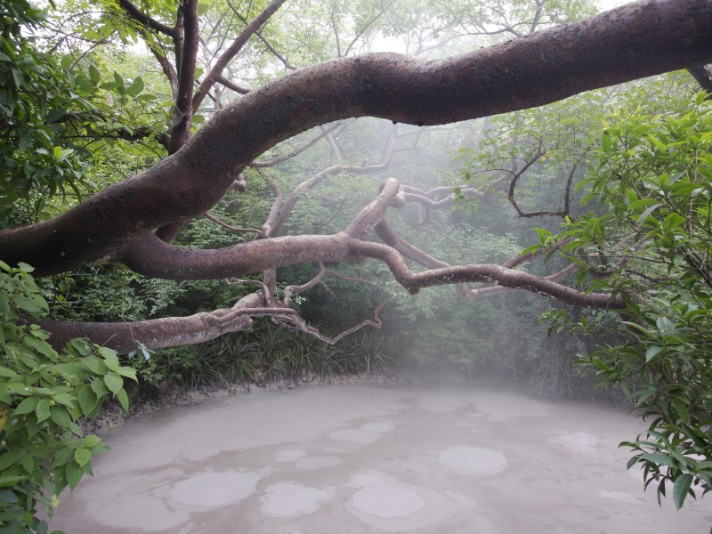 Rincon de la vieja Schlammloch