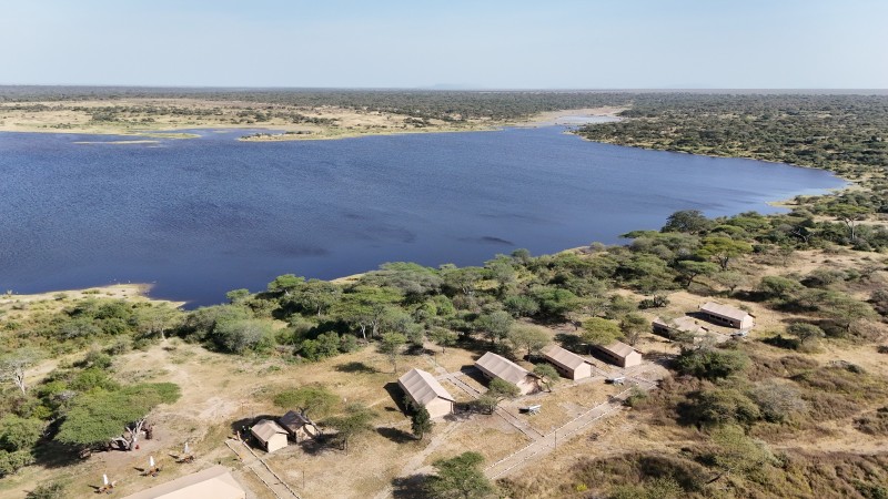 Africa Safari Serengeti Ndutu