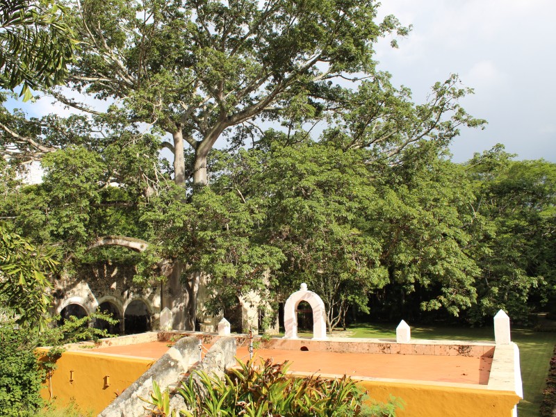 Hacienda Uayamon - Garten