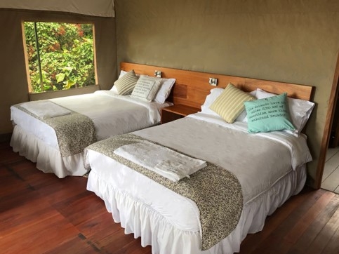 Standard-Zweibettzimmer