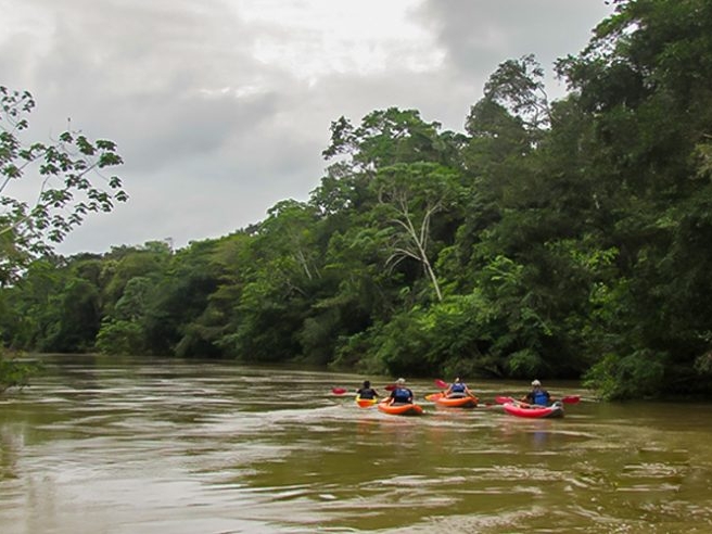 Kayaking in the Amazon