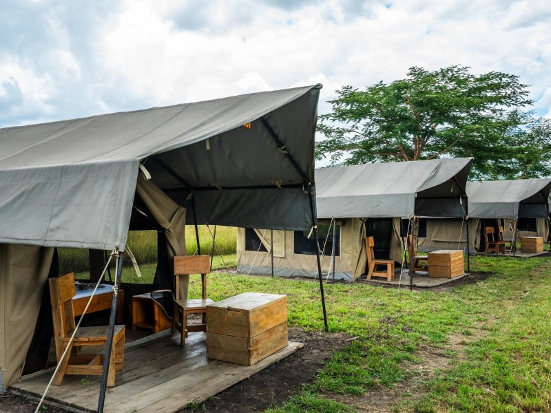  Serengeti Ikoma Safari Tent