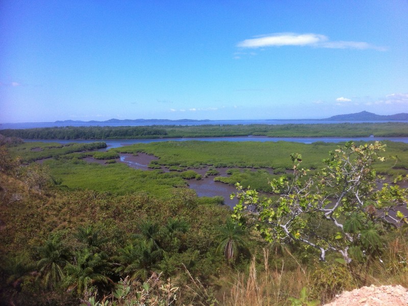 Boca Chica - Hinterland