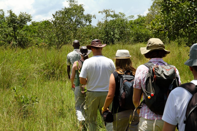 Walking Safari