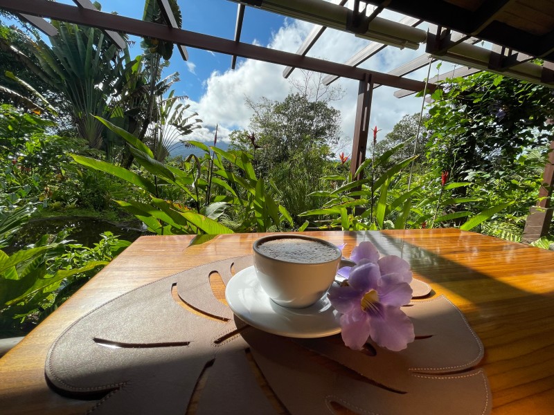 Lost Iguana - Frühstück