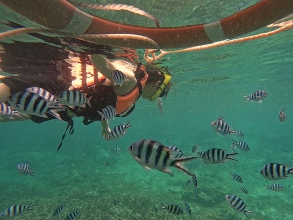 Koh Tao and Koh Nang Yuan Speedboat Tour