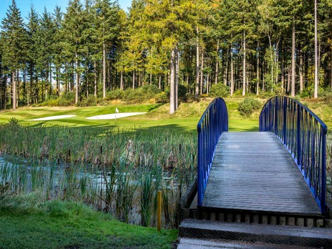 Remedy Oak golf club