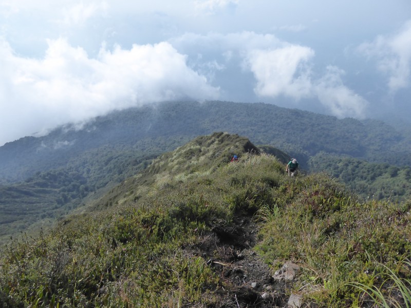 Trail to the volcano Sumaco