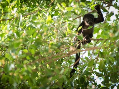 Costa Rica - Tamarindo
