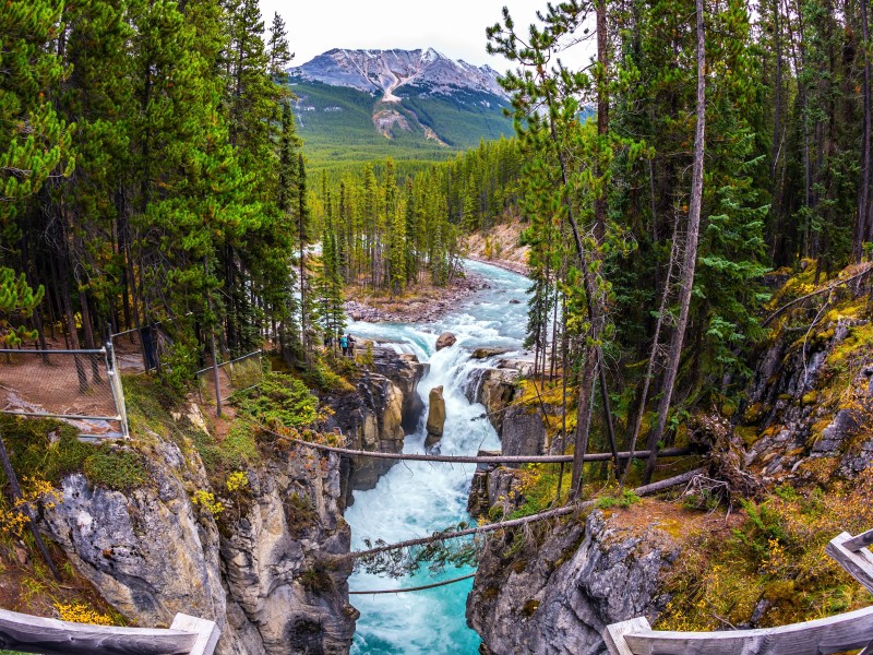 Canada - Jasper NP - Sunwapta Falls