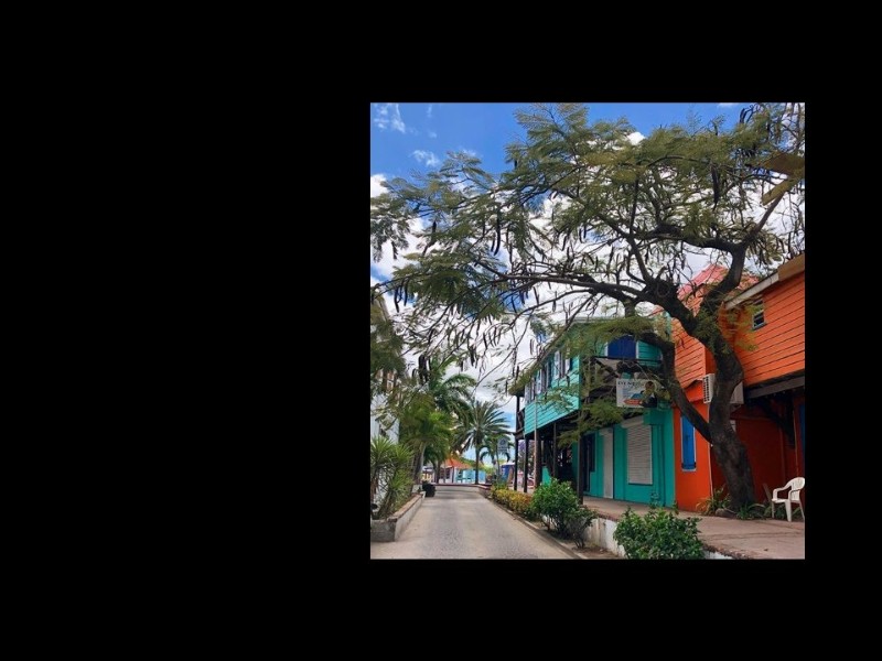 Older Home in Antigua