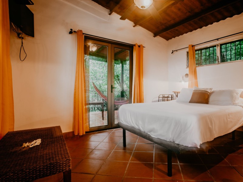 Golden Frog Inn - Standard