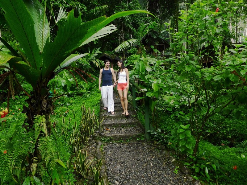 Rios Tropicales Lodge - Wanderwege