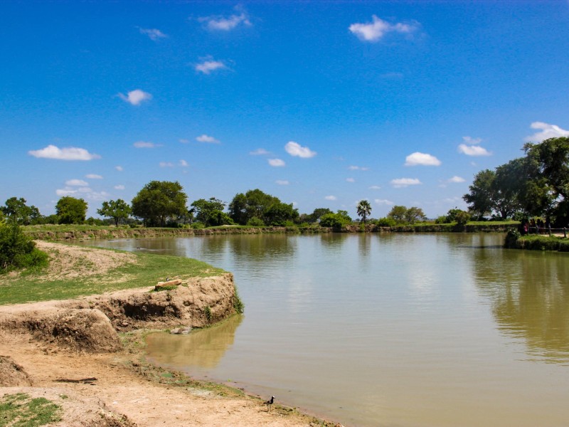 Wonderful Of the Nutural 