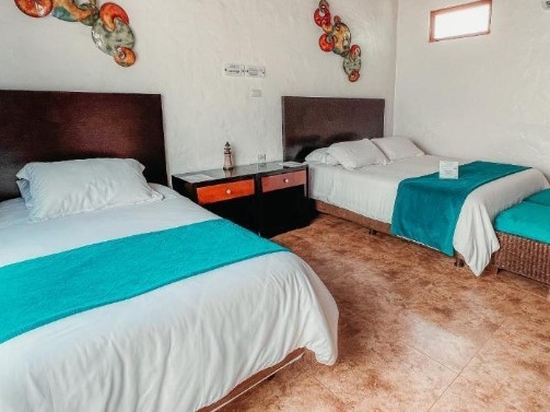 Tiwn Garden View Room