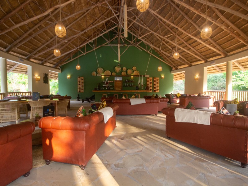 Africa Safari Nyerere