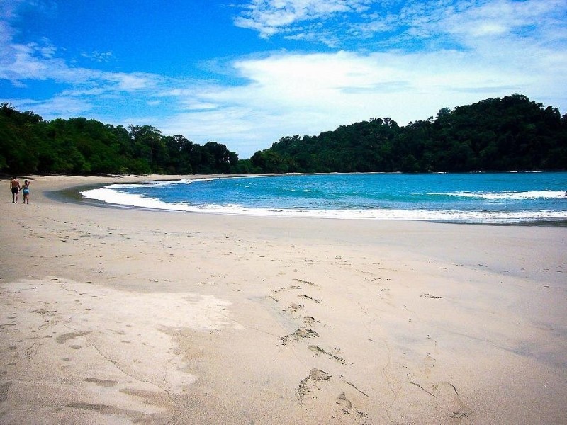 Manuel Antonio Park Nature Guided