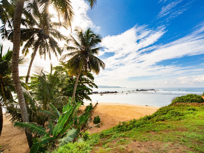 Strand mit Palmen - Galle - Sri Lanka