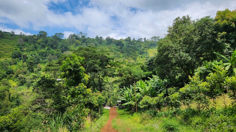 Kaffeetour auf einer Plantage in Karatu