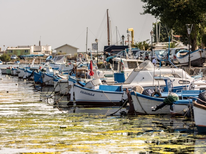 Harbour