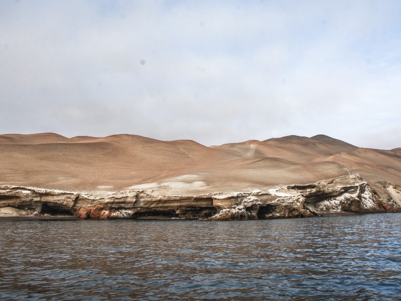 Ballestas_2