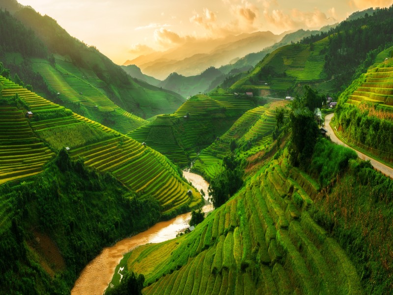 Terrasse Reisfeld-Mu-Cang-Chai-Vietnam