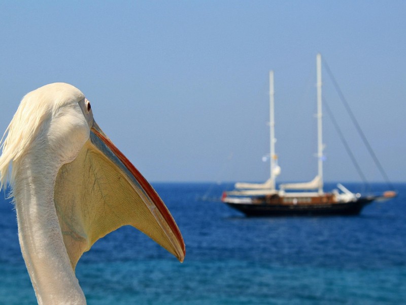 Greek Seafront