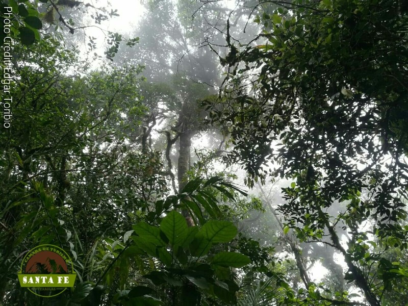 Santa Fe - Cerro Mariposa Trail