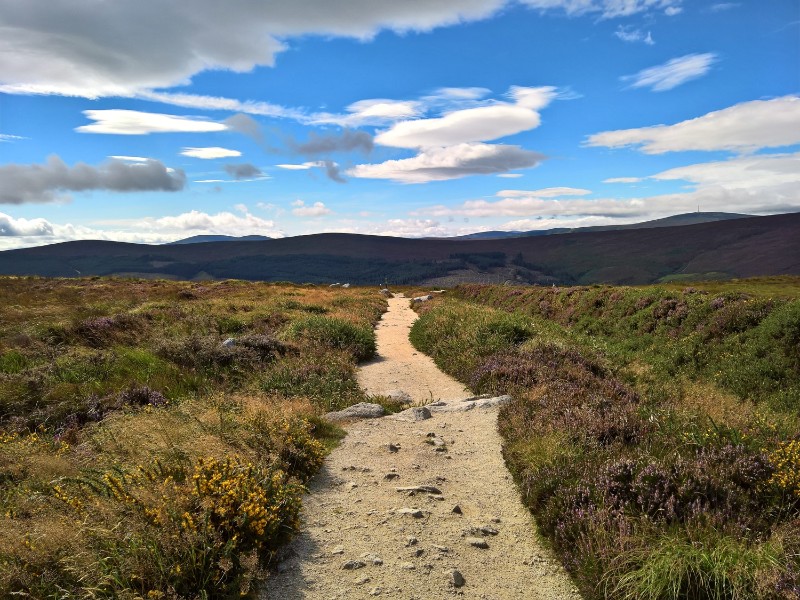 Irland-Wicklow Way©Sebastian Schmidt-gty