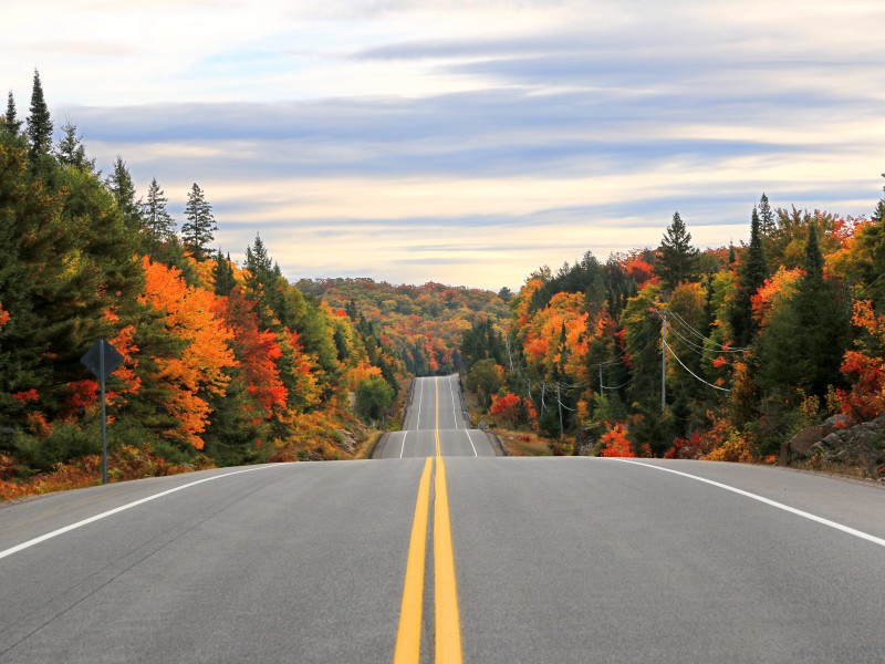 Canada - Algonquin National Park
