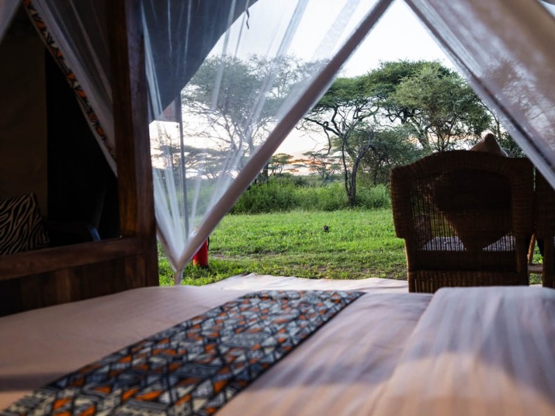 Safari Comfort in der South Serengeti