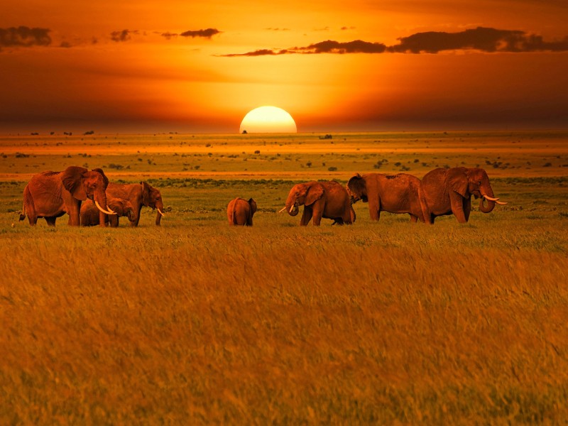 Kenya - Tsavo West