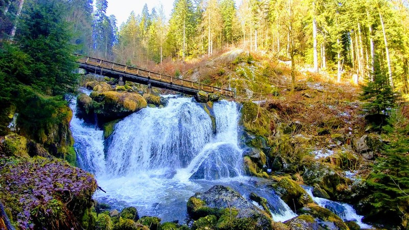 Triberg Waterfalls