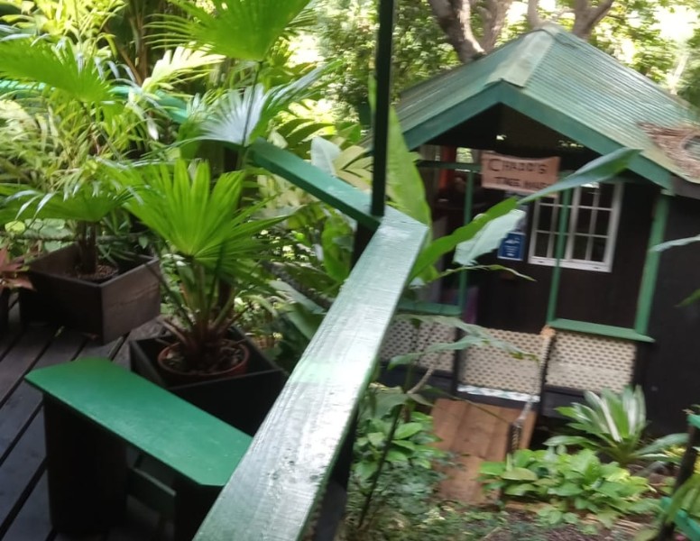 Gemma's Garden