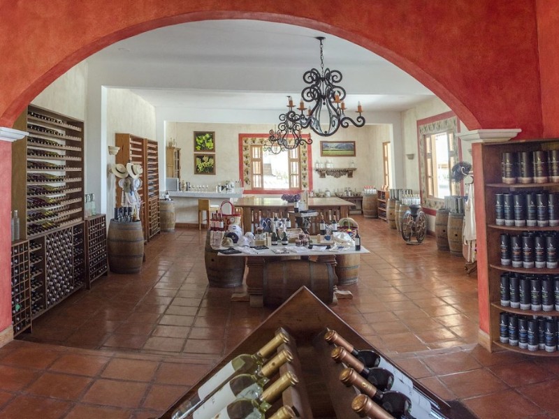 Viñas Queirolo_Gift Shop
